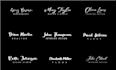 design a signature logo for photography, vlog, designs etc