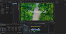 professionally edit your nature or animal videos