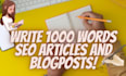 write seo articles and blogposts in 24 hrs