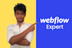 create, update or fix webflow website in your budget