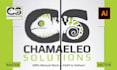 redraw and vectorize the logo manually for print and digital