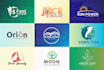 do a custom minimalist business logo design