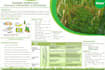 design academic, conference, or any infographics poster