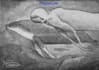 paint a fantastic ink wash illustration