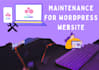 do wordpress website maintenance