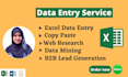 provide fastest excel data entry collection data typing internet research