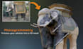process your photos into a 3d mesh photogrammetry