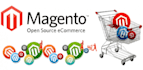 fix bugs, install theme, anything in magento all version