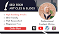 write SEO tech articles, website content, ai, and blog posts