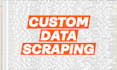 custom data mining and web api scraping