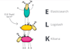 set up an elasticsearch cluster and transfer your data