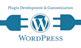develop wordpress plugins, themes and woocommerce addons