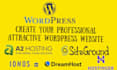 create your professional website on bluehost hosting and 1and1 ionos
