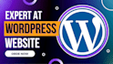 be website designer for wordpress website or web design