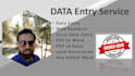 do data typing, copy paste, web based research, excel entry