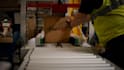 create truck logistics warehouse office promo video