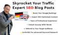 write a high quality SEO blog post to rank on google