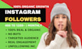 do super fast organic instagram growth