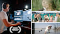 edit a beautiful wedding video