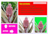 edit, change or remove background, retouch of photos