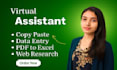 be your perfect data entry expert and virtual assistant
