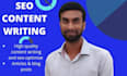 write high quality SEO optimized content for your blog posts
