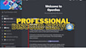 create the best discord server for you