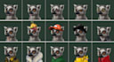 design game character and nft collection