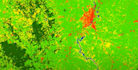run vector and raster imagery analysis
