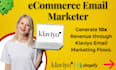 create email flows for shopify marketing