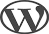 develop wordpress website