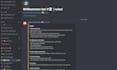 setup your professional discord