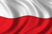 translate english german polish