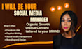 grow your social media accounts
