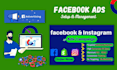 setup and manage your facebook and instagram ads campaign, for leads and sales