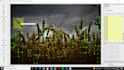 do image annotation, bounding boxes,labeling or segmentation