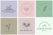 make beautiful elegant hand drawn botanical boho logo design