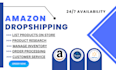 be your professional amazon  virtual assistant