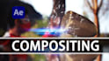 do vfx compositing, cgi, rotoscoping of your videos