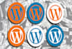 develop and modify your WordPress Website