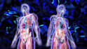do biorgonomy bio energy and heal your energetic body
