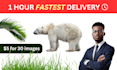 do bulk image background removal and cut out super fast
