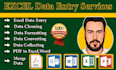 be your excel expert for excel data entry