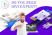 build wordpress website, ecommerce website, landing page by divi theme
