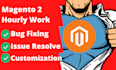 do magento 2 development and maintenance on hourly basis