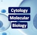 do restriction digestion, rt pcr, western blotting