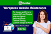 provide ongoing website support and maintenance services