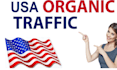 skyrocket and ideal website promotion to increase USA website traffic
