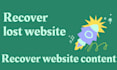 recover deleted website content