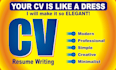 design a resume,  professional CV or curriculum vitae